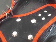 BabeJuicy Harness Belt Review 9/16