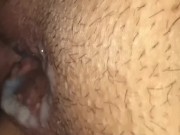 BBW cream pies 10/16