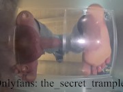 Cock and balls puncaked under glass 2 (preview, full video on Onlyfans) cock and ball trampling 12/16