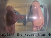 Cock and balls puncaked under glass 2 (preview, full video on Onlyfans) cock and ball trampling 16/16