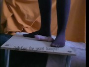 Nylon cock trampling board (preview, soon on onlyfans) 2/16