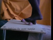 Nylon cock trampling board (preview, soon on onlyfans) 7/16