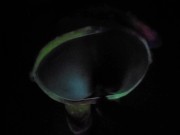 ОТЖАРИЛ ИГРИВУЮ МАЛЫШКУ 5/16