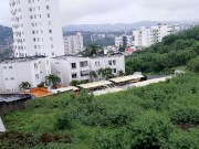 While my horny stepsister looks out the window I suck her delicious pussy 1/16