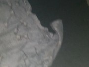 Blow job followed by a  good quick fuck 10/16