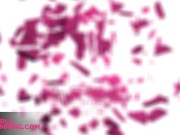 GIRLSRIMMING - After conversation rimjob and blowjob with sexy teen Jazmin Luv 14/16