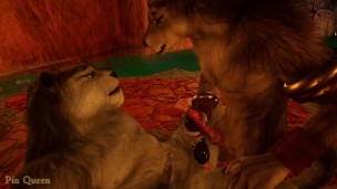 Wolf and gray tiger found a secluded spot in a cave to secretly have sex - Wild Life