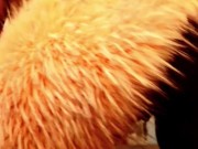 Black girl teen shows you her pussy outline and beautiful ass from behind 13/16