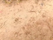 Baseball field 2 cumshot 12/16