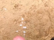 Baseball field 2 cumshot 15/16