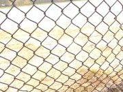 Baseball field 2 cumshot 2/16