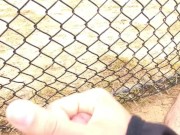 Baseball field 2 cumshot 5/16