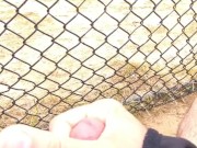 Baseball field 2 cumshot 7/16