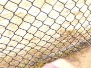 Baseball field 2 cumshot 8/16