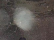 I carry a festive cake and come back a funy 7/16