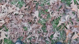 Quick piss outside