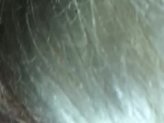 Sucking bbc on the 10th floor suit at the Omni hotel! Sucking bbc all day and night!