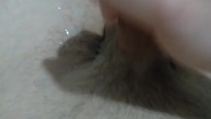 Homem se masturba até gozar e continua batendo punheta!