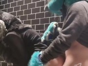 Teenage Furries Almost Caught Fucking in Restaurant Bathroom Stifled Moans 9/16