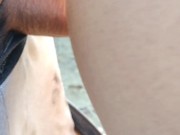 KERN COUNTY PUBLIC DAY TIME PUBLIC FUN PART 2 16/16