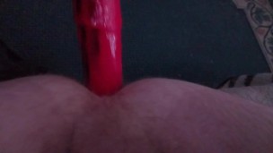 Horse dildo quickie