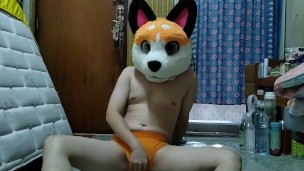 Orange doggo 🧡