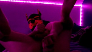 Pup Oliver Toys His Tight Hole