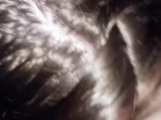 Stepsis throatpie on couch 7/16