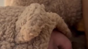 Mommy bear gags on daddy’s bbc