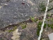 Big cock pee naked outside with feet