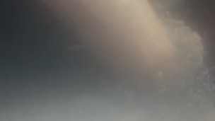 BBC jerks in whip
