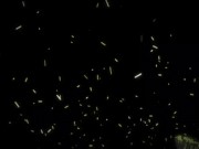 Stepsister wants it rough in the ass and cum on her face at the end 16/16