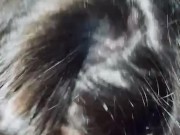 Wife Sucks Cock 14/16