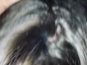 Wife Sucks Cock 16/16