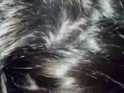 Wife Sucks Cock 3/16