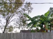 Pissy Emmy - Milf Sucks Dick In Backyard 3/16