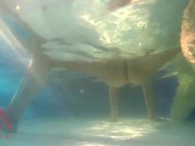 Elegant and flexible babe, swimming underwater in the outdoor swimming pool. 3 2 3/16