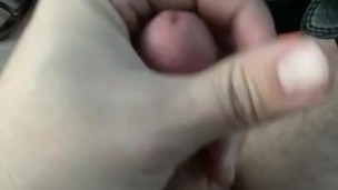 Jerking in my work van