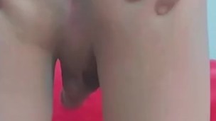 Gay arab hot