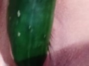 Fuck, gusto na magpakantot. Tigang na tigang.. pipino fuck for dalagang pinay 13/16