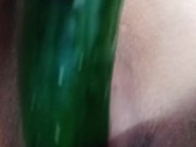 Fuck, gusto na magpakantot. Tigang na tigang.. pipino fuck for dalagang pinay 15/16