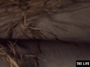 Cute teen masturbates with nipple clamps and a big glass dildo 14/16