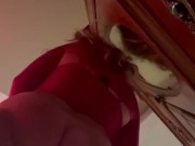Hold grippy pussy swallows cock