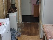 I cook compote and dance 3/16