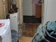 I cook compote and dance 5/16