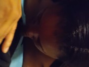 Nut Swallow in LA Pt.2 11/16