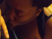 Nut Swallow in LA Pt.2 13/16