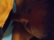 Nut Swallow in LA Pt.2 5/16