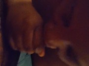 Nut Swallow in LA Pt.2 9/16