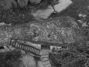 Ellas4 - Safadinha e Ninfeta 1/16